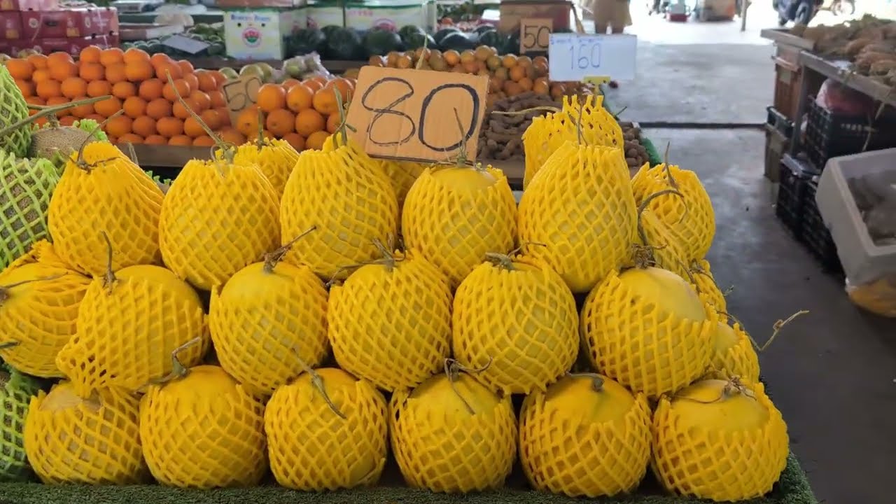 Thai Mango Soon—Cambodia Next?　มะม่วงไทยใกล้มา! กัมพูชาตามไหม?｜Pattaya｜ผลไม้พัทยา สด อร่อยมาก!