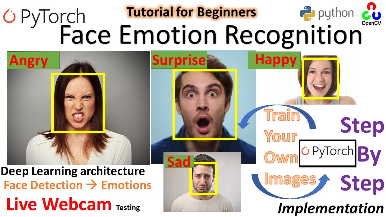 Realtime Face Emotion Recognition | PyTorch | Python| Deep Emotion | Stepwise Implementation