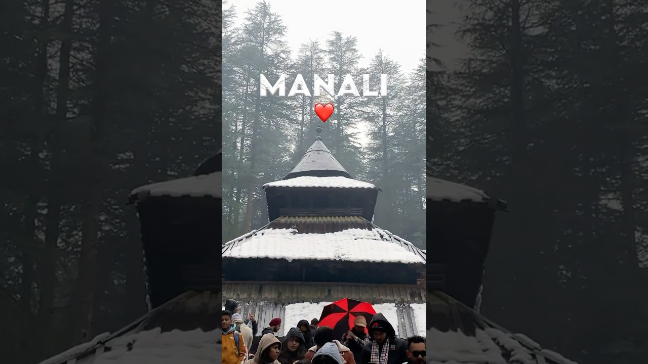 WELCOME TO MANALI 💕 | Hadimba Devi Temple | Van Vihar | Snowfall #manali #shorts