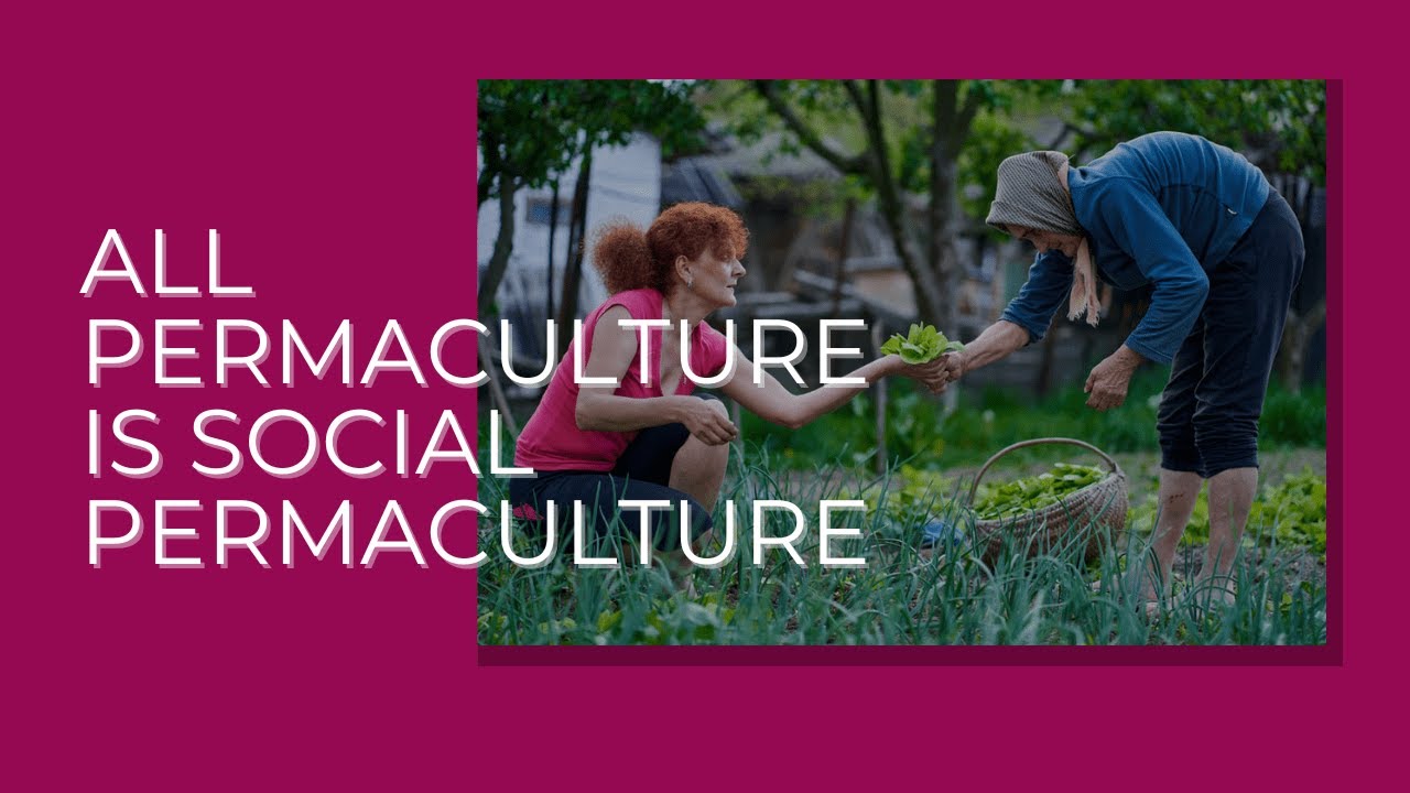 All Permaculture is Social Permaculture