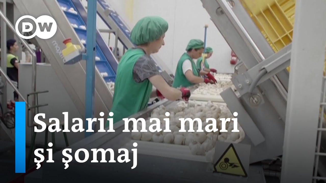 Spania: Salarii mai mari cu preţul concedierilor?