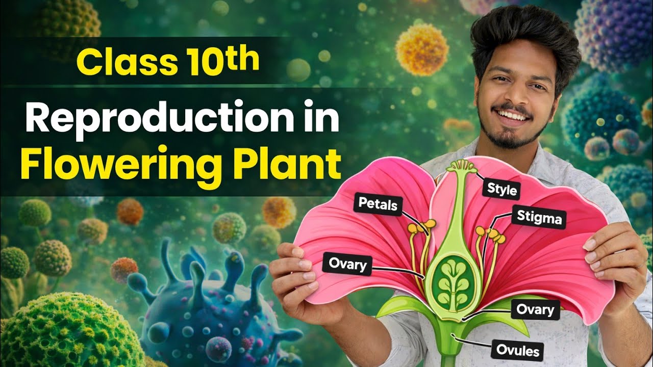 Reproduction in Flowering Plants 🌸 |Class 10 Biology|NCERT| Female Reproductive Part | By Hassan Sir