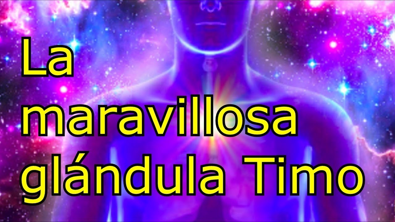 La maravillosa gl&aacute;ndula timo (RESUBIDO)