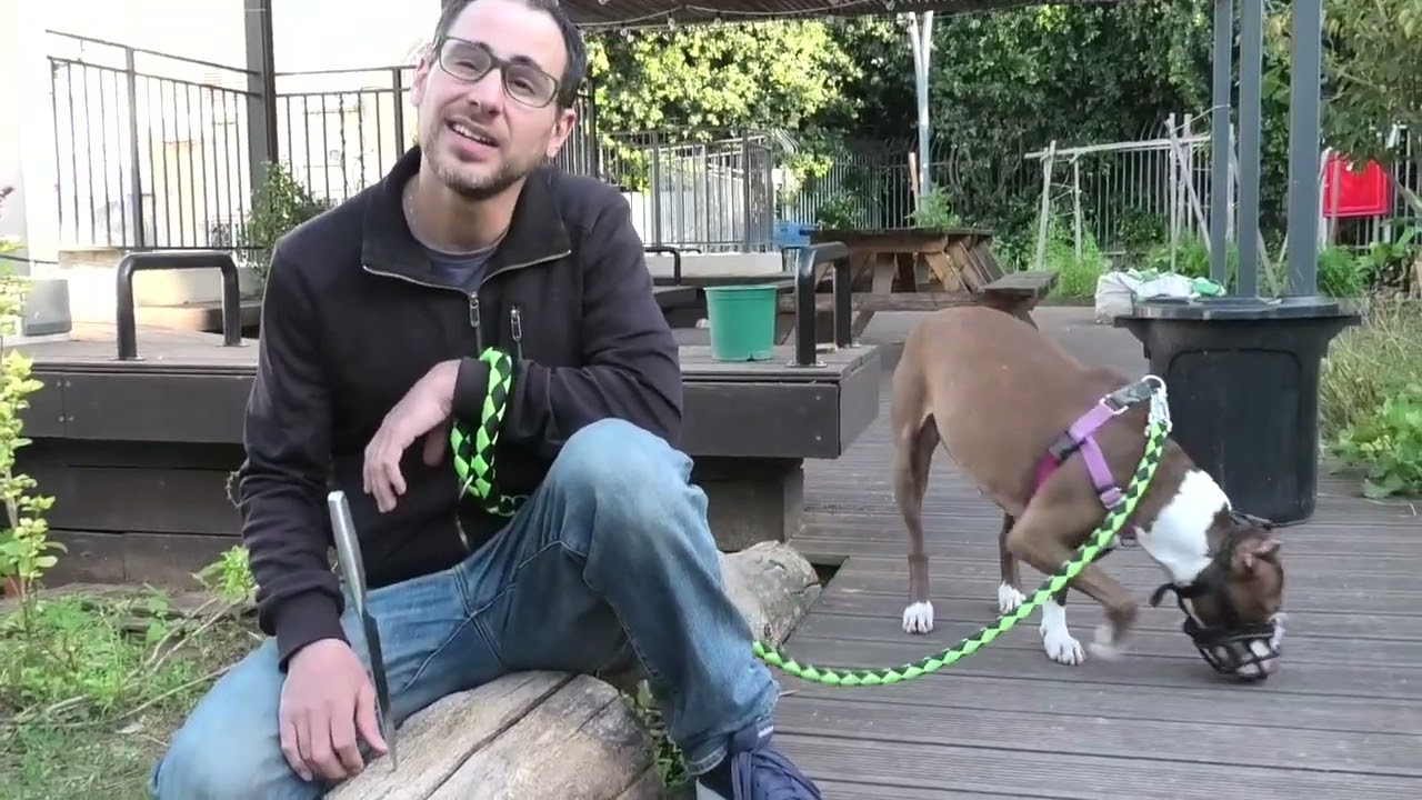 הדוקו של הכל | עונה 6 | פרק 1 | רגע, לא רואים אותך
