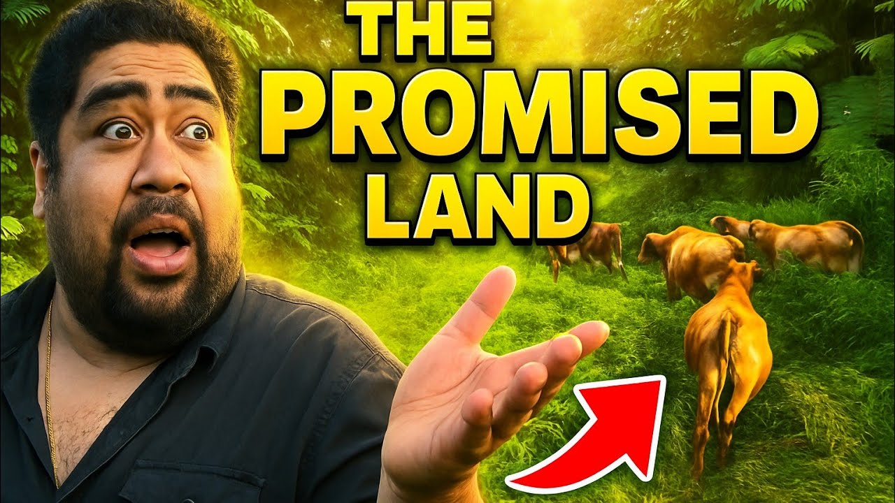 Forgotten Land Sat for 30 Years… Until Now!!