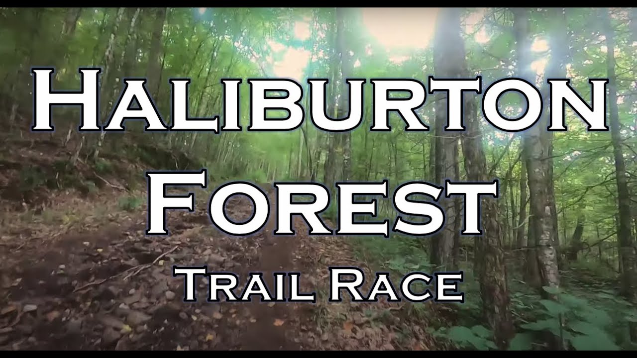 Mo at the 2021 Haliburton Forest Trail Race