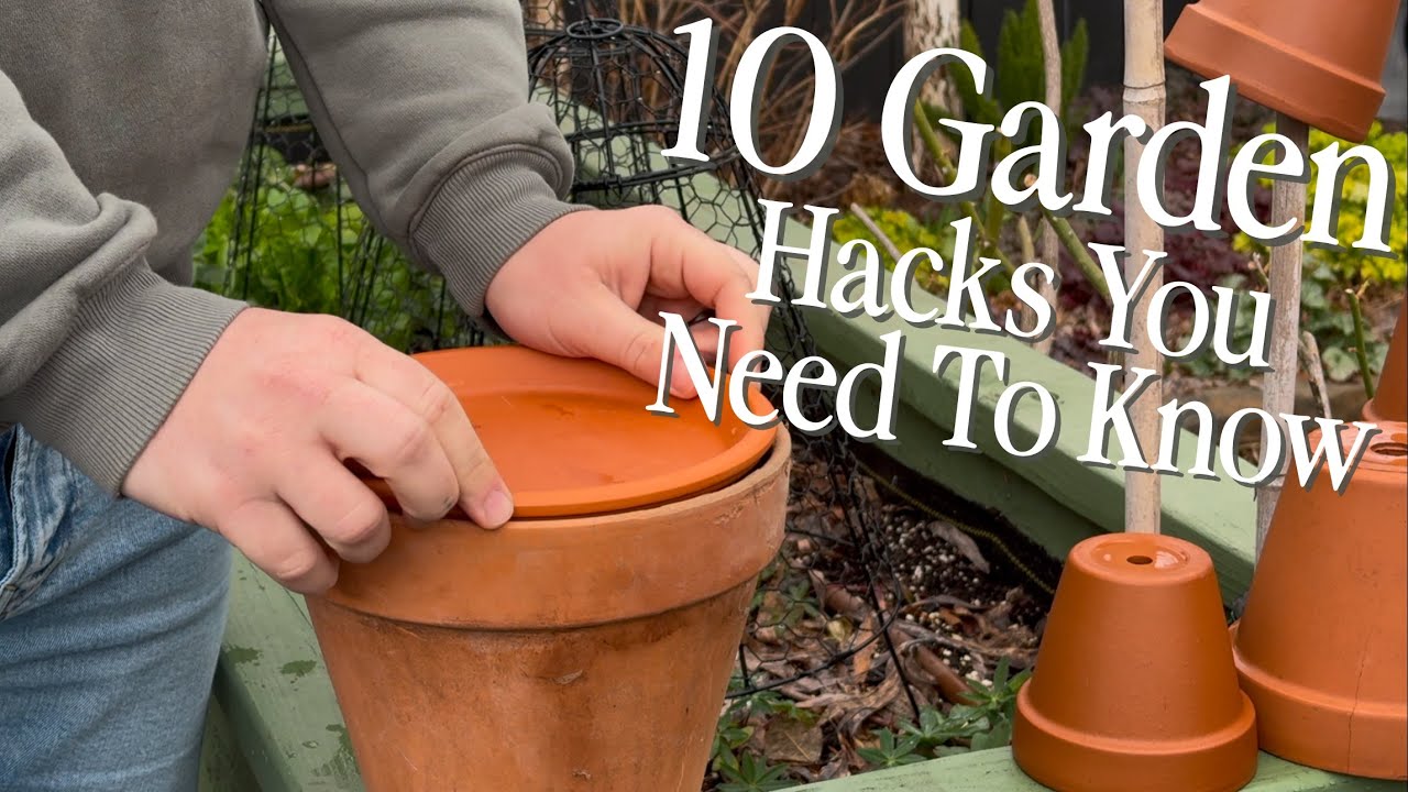 10 FREE Gardening Hacks You&rsquo;ll Wish You Knew Sooner! 🌱🤯 || Visit Our Garden