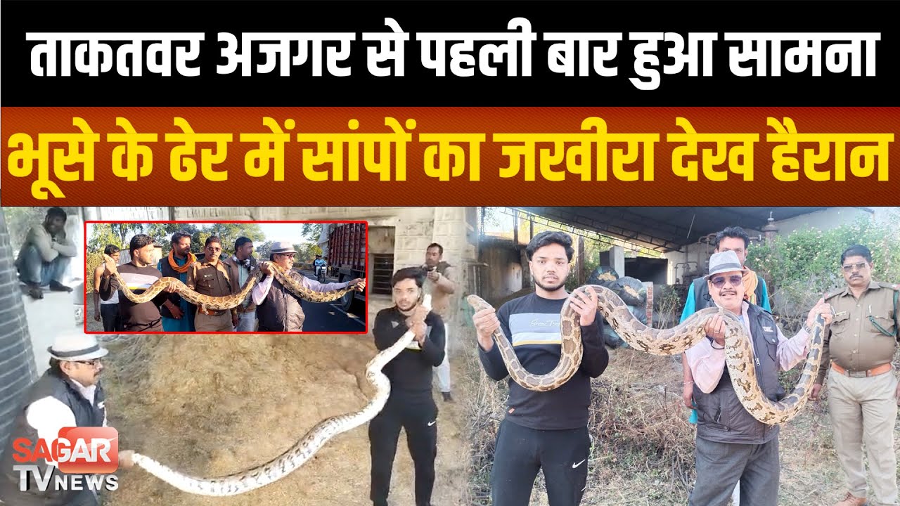 Sagar - इतने ताकतवर अजगर ने अकील बाबा के पसीने छुड़ा दिए, पकड़ते ही देखने को लगी भीड़ |SAGAR TV NEWS