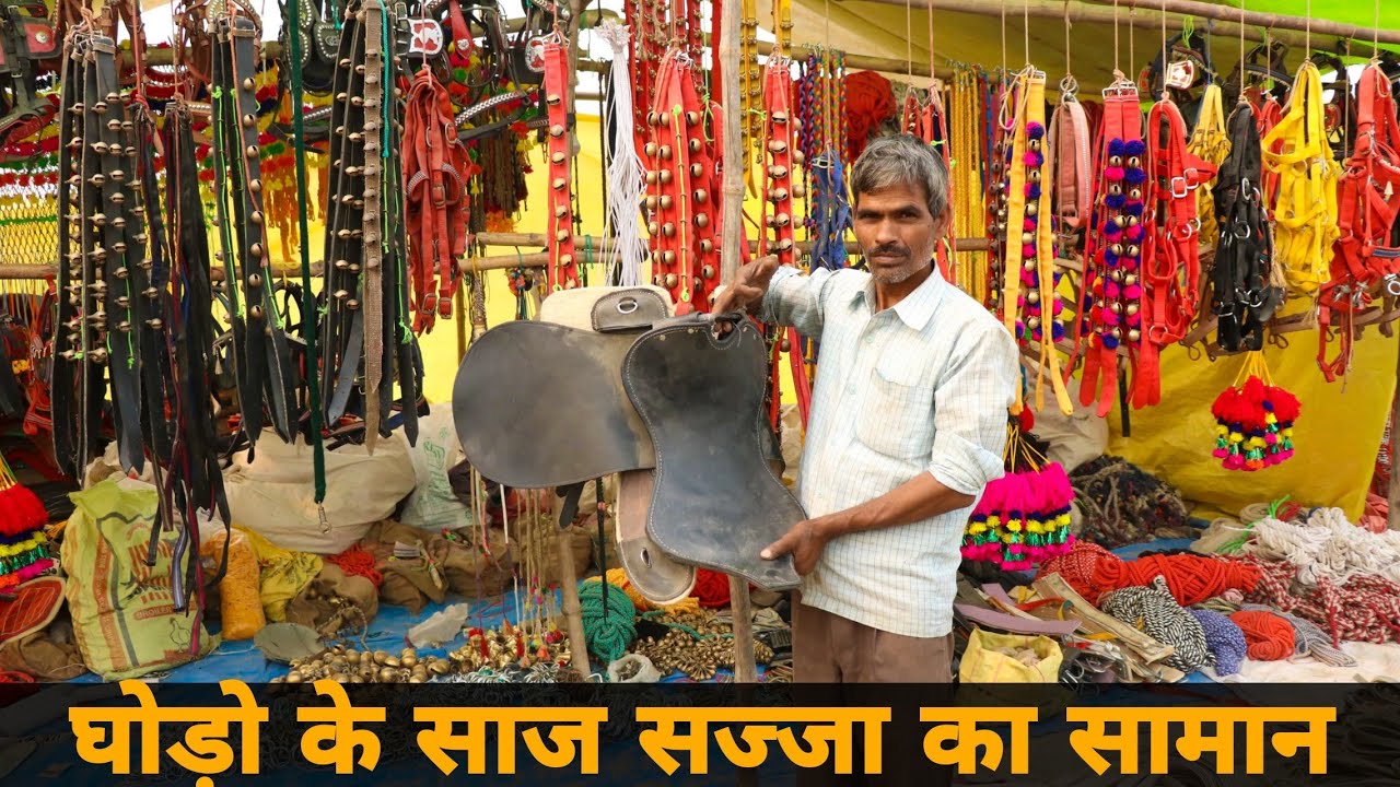 घोड़ों का साज सज्जा सामान गढ़ गंगा मेले में | Horse Tack Accessories Market In garh ganga tigri Fair