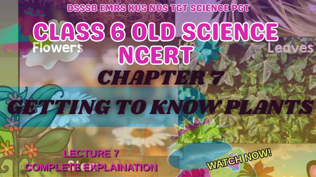 CLASS 6 CH -7 GETTING TO KNOW PLANTS#kvs #biology #nvs #education #emrs #tgtscience #dsssb #cbse