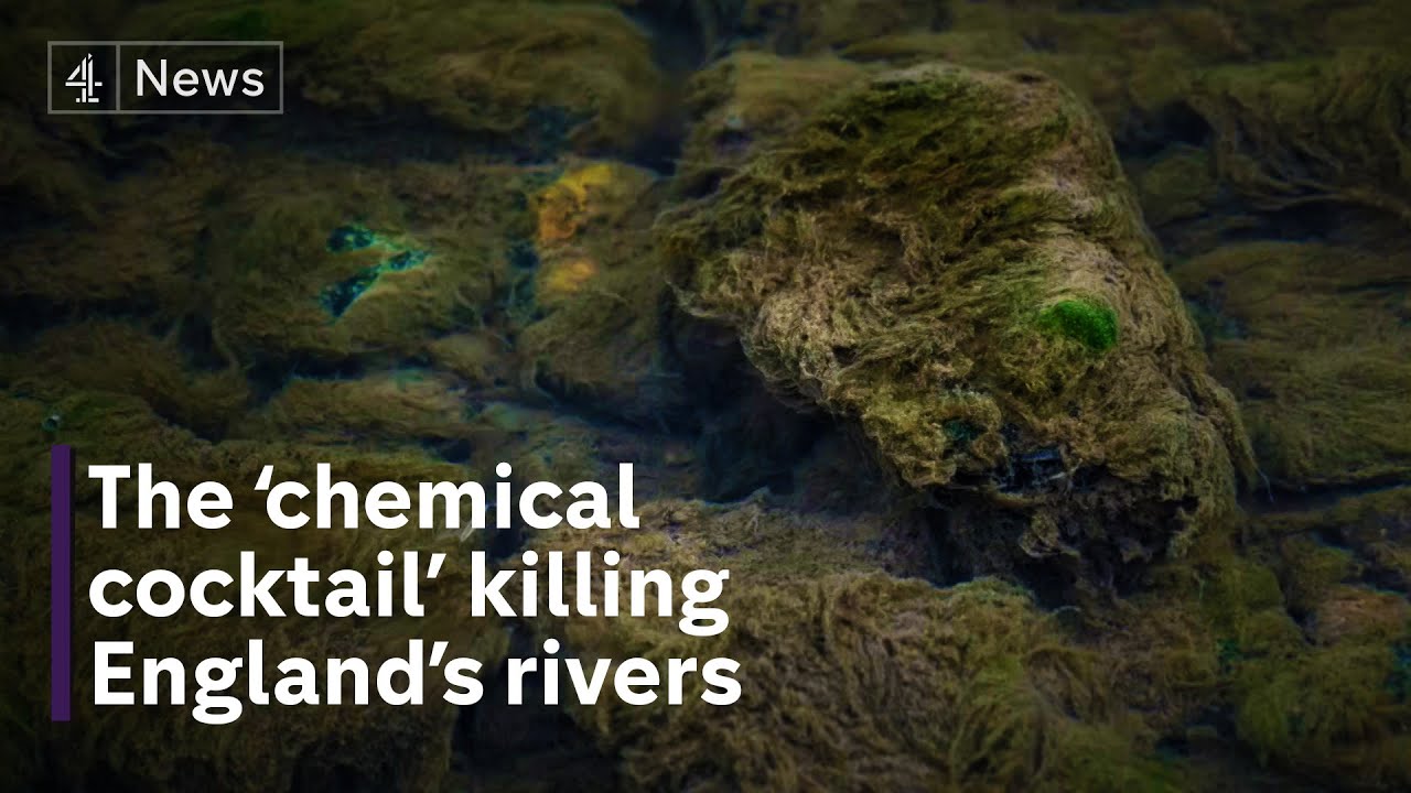 How some farmers are breaking the rules on river pollution - but escaping prosecution