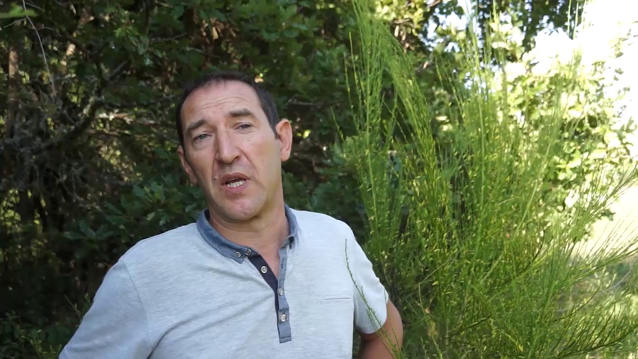 M. Fabrice JEAN - Président  de la société de chasse de st Trinit