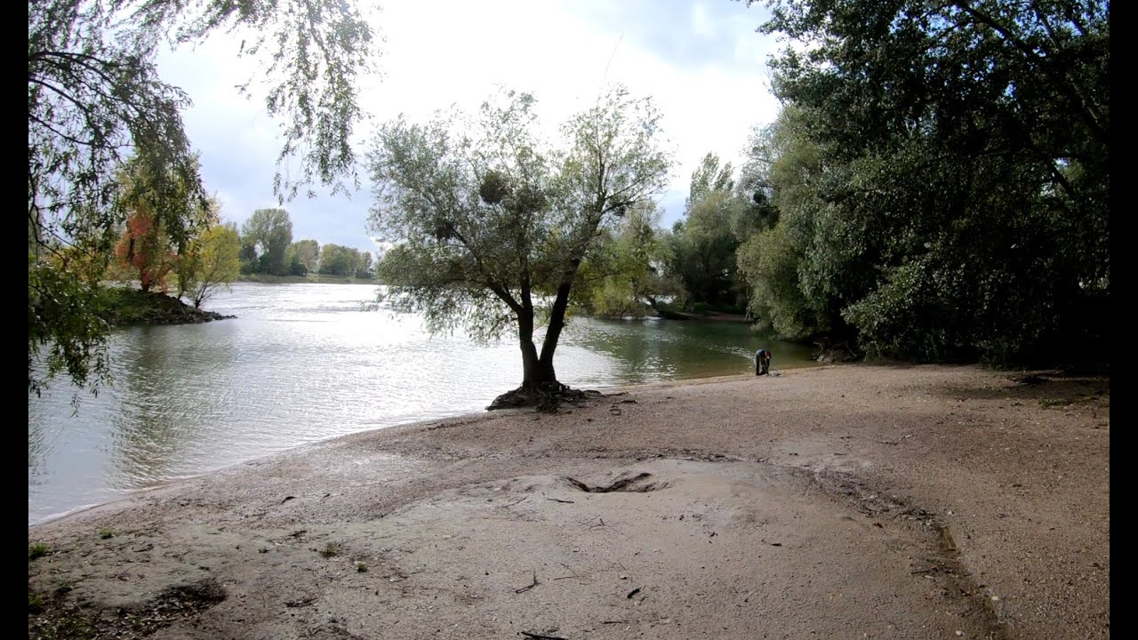 Kajak einbooten -  das Duell: Mannheimer Strandbad gegen Silberpappel