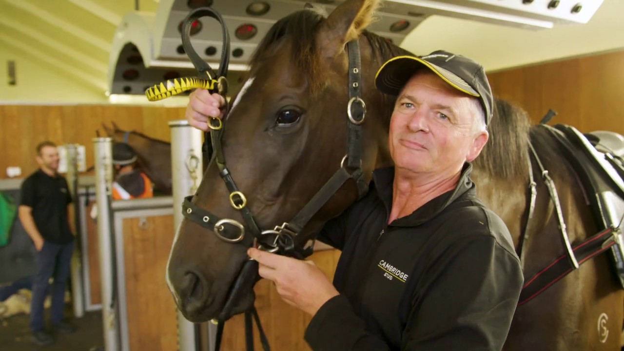 Stud Life: Cambridge Stud Racing Stables