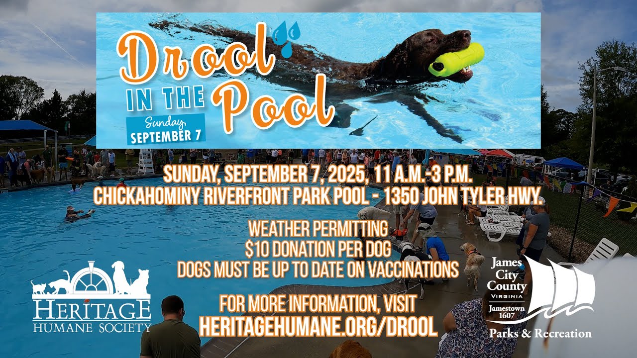 Drool in the Pool 2025