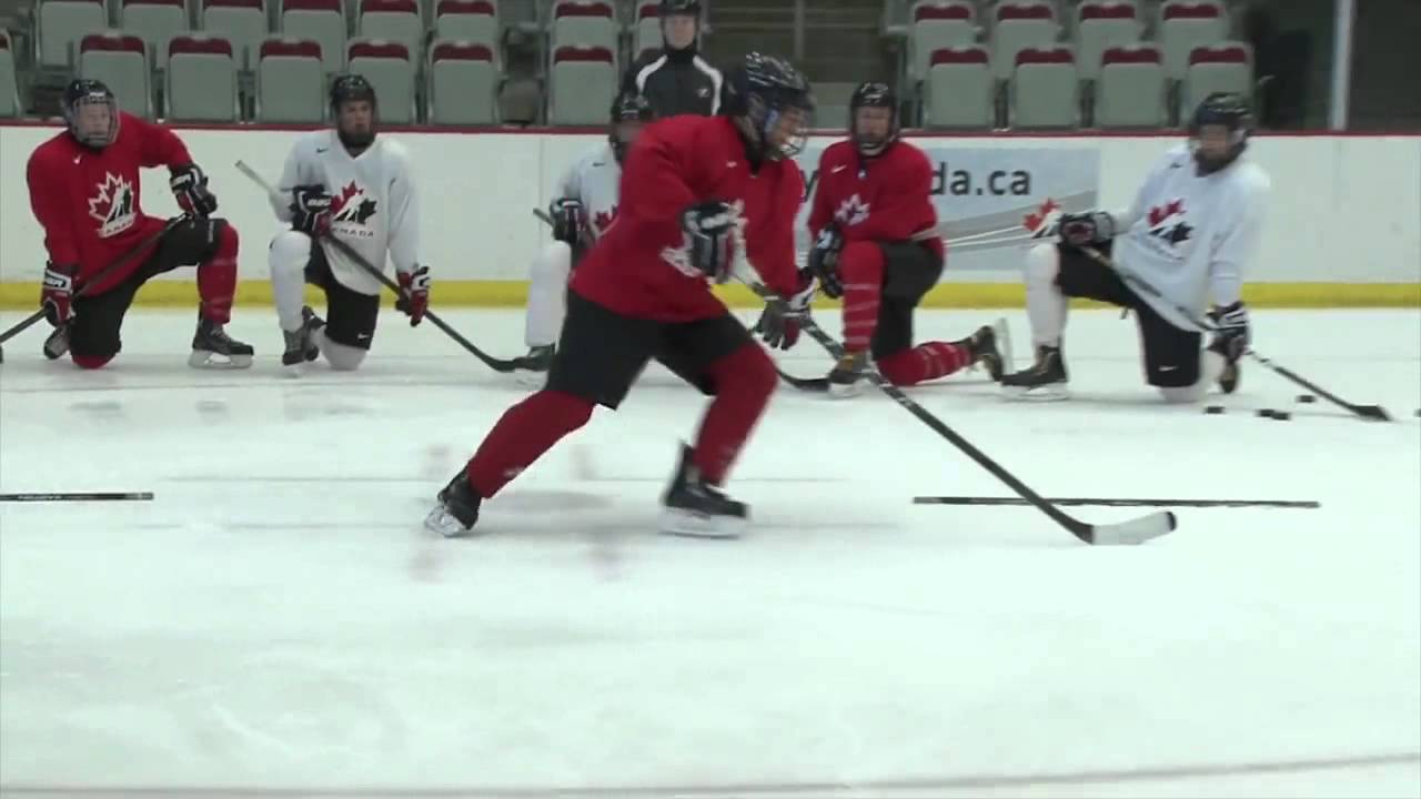 Skating - Agility - Puck Protection