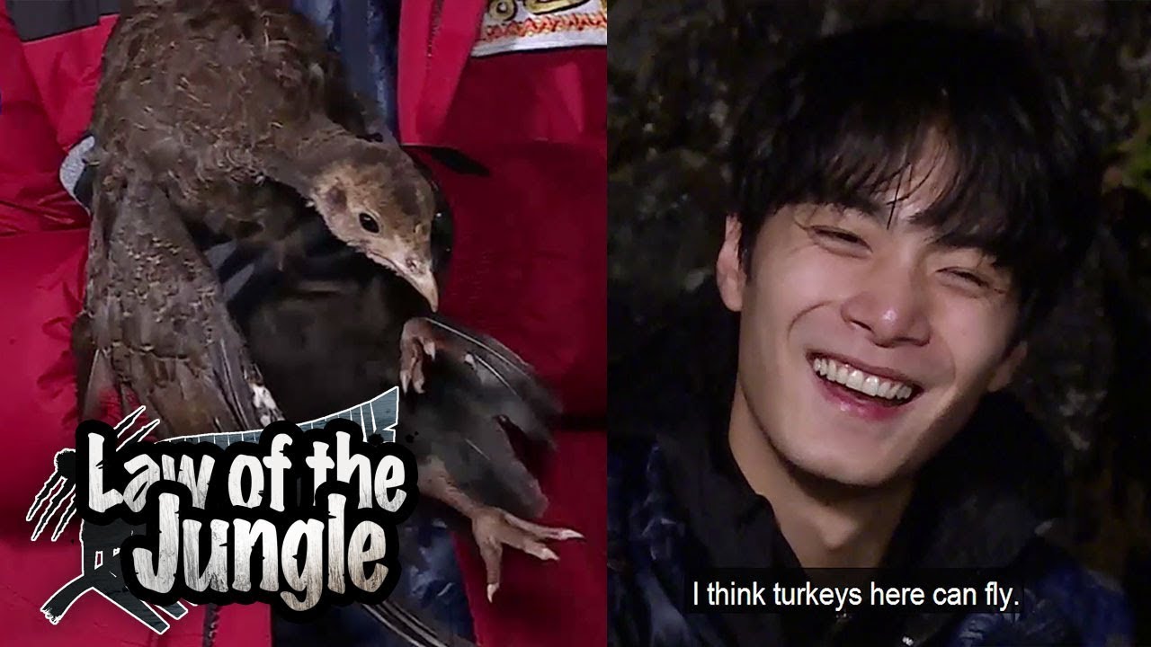 Nuest W JR so Happy for successful hunt [Law of the Jungle Ep 304]