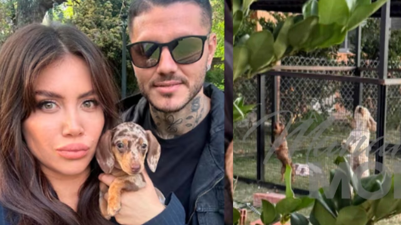 NUEVO ESCÁNDALO CON WANDA NARA: La denunciaron por abandonar sus perros en su casa de Pilar