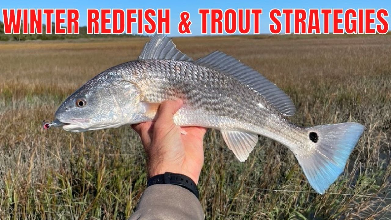 Strategies & Tactics For Winter Redfish & Speckled Trout