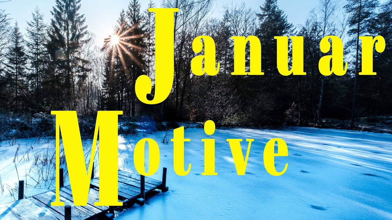 Was du jetzt fotografieren kannst | Naturfotografie im Januar