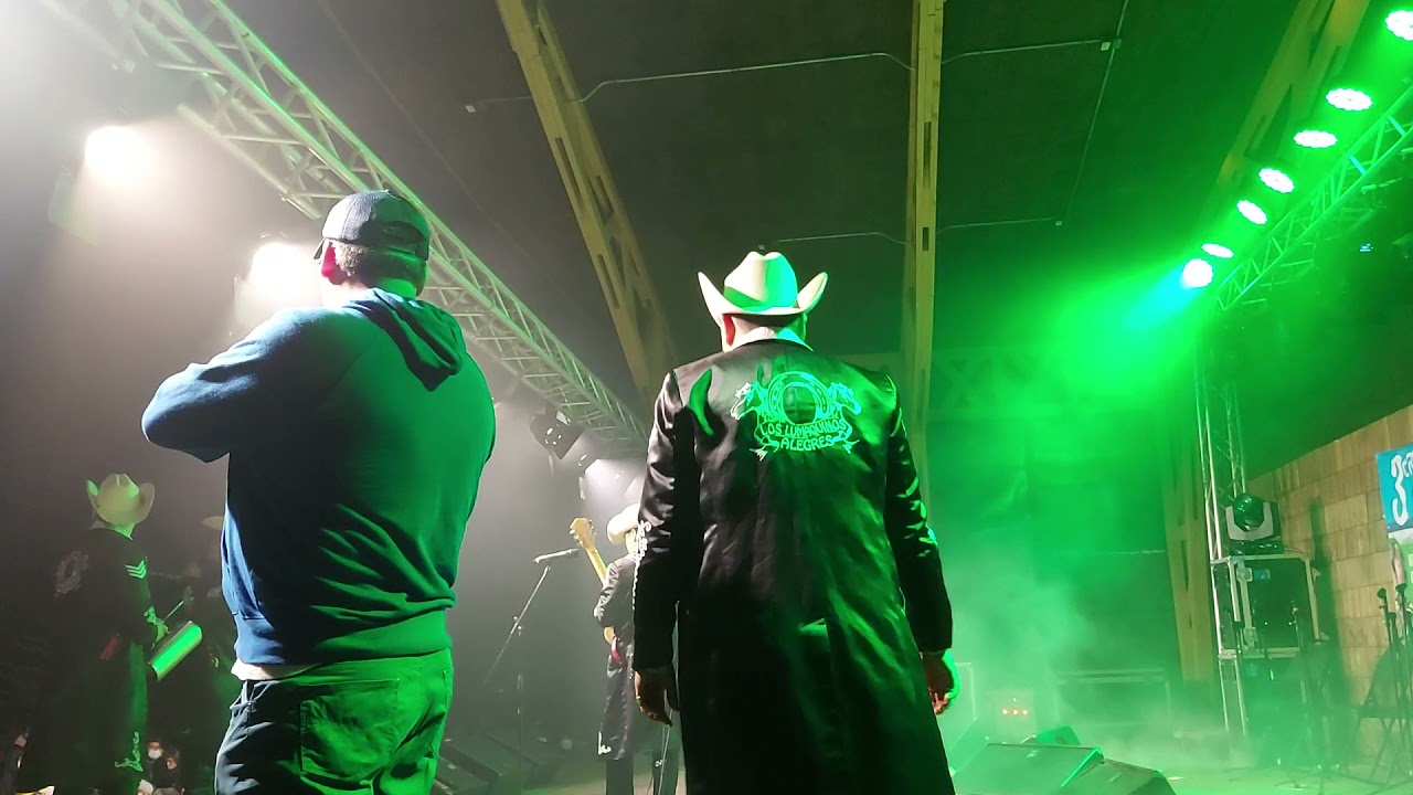 los lumaquinos alegres en Dalcahue
