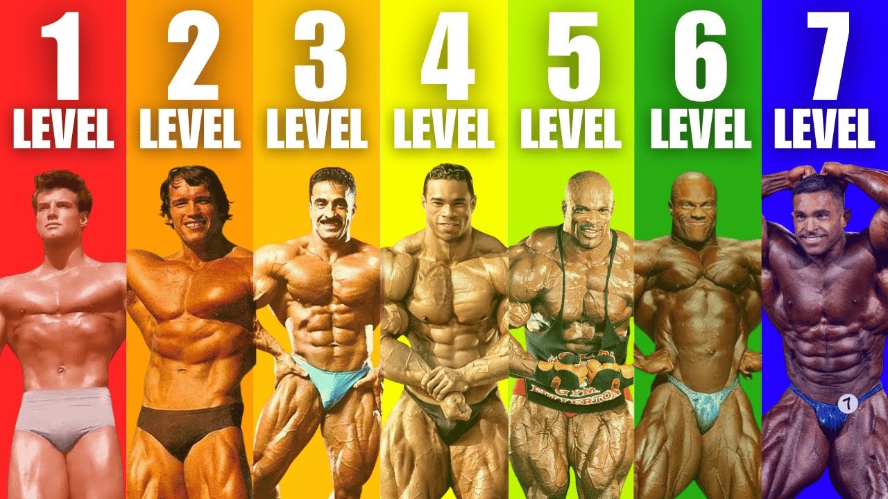 The 7 Levels of Bodybuilding Physiques