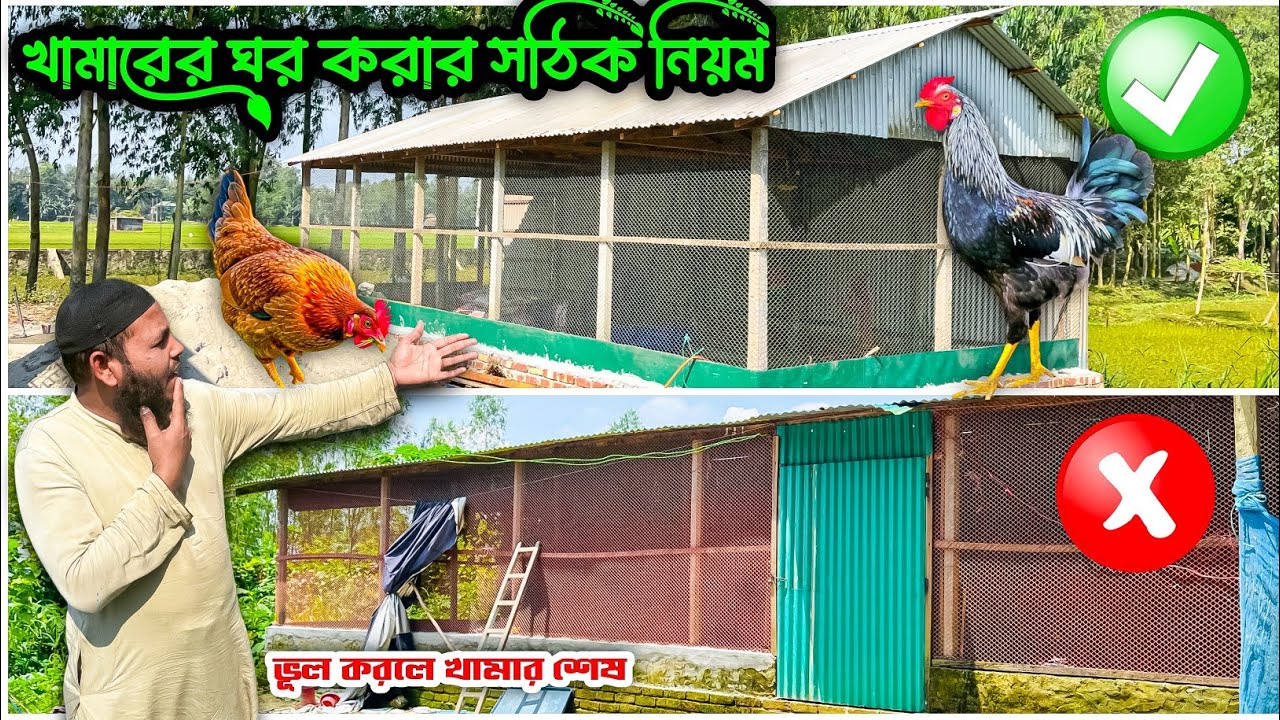 খামারের ঘর তৈরির সঠিক বনাম ভুল নিয়ম | Poultry Farm Shed Design Correct vs Wrong