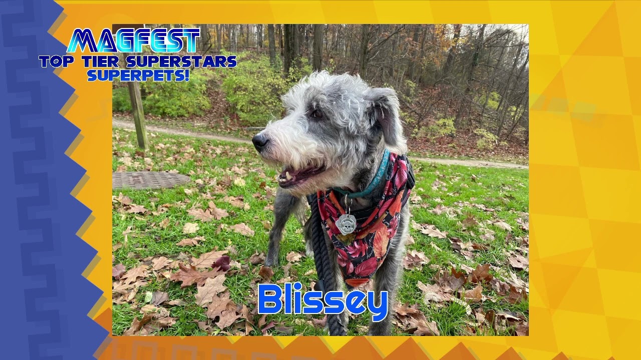 Superstar Pets of MAGFest 2025