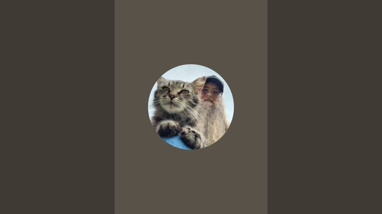 Mountain Cats Sanctuary is live! 🌞 Saturday