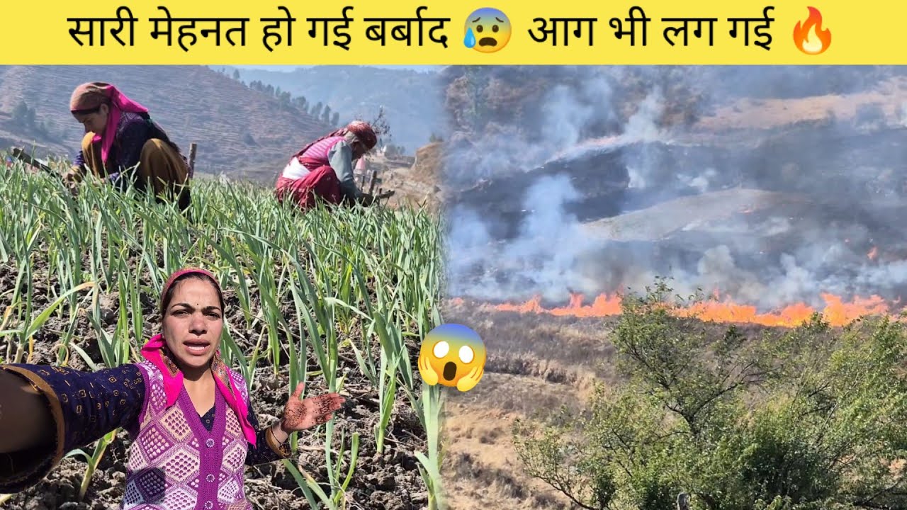 आग में जल गया सब 🔥। सारी मेहनत हो गई बर्बाद 😰।। Sakshi joshi vlogs 