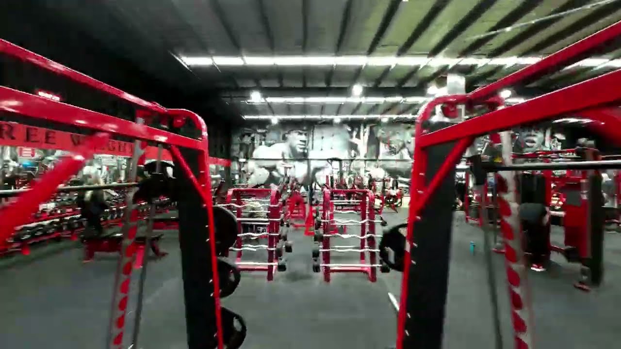 Muscle City | Mount Waverley