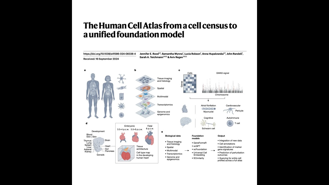 284-The Human Cell Atlas: From Census to Foundation Model