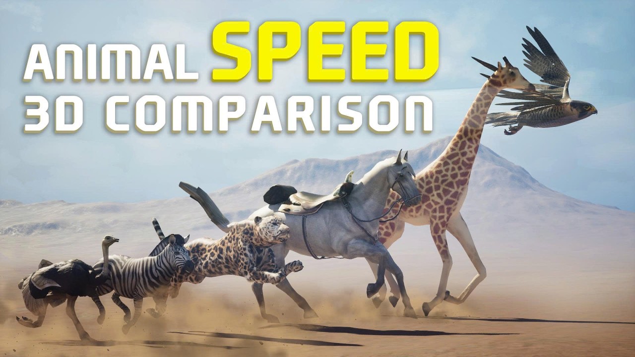 ANIMAL RACE - The World's Fastest Animals in 4K