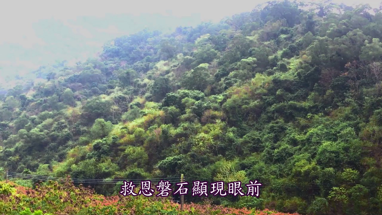 讚美詩_436 我一生蒙救主引導