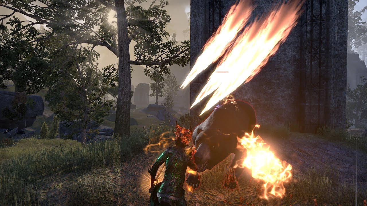 The Burning Butcher Updated Video [DoT Stamina DK Build | PvE DPS]