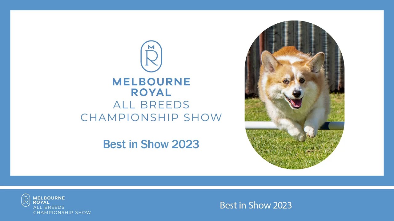 2023 Melbourne Royal - General Specials