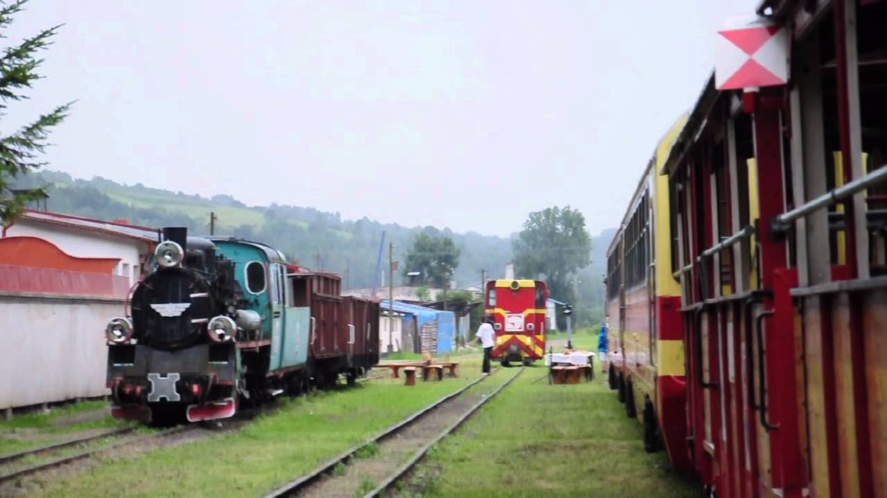 Lxd2-334 Dynów / Przeworska Kolejka Wąskotorowa Pogórzanin