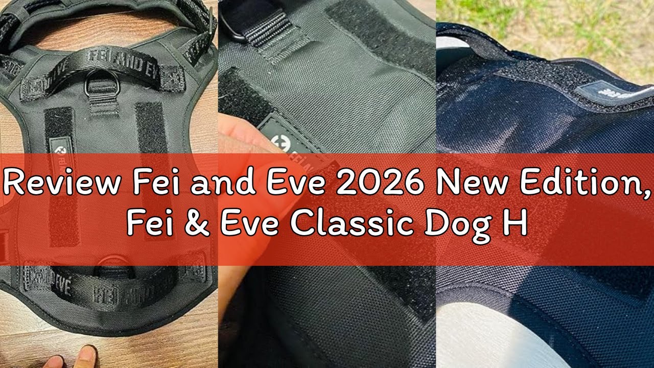 Review Fei and Eve 2026 New Edition, Fei & Eve Classic Dog Harness - Quick-Release Buckles | 3-Point