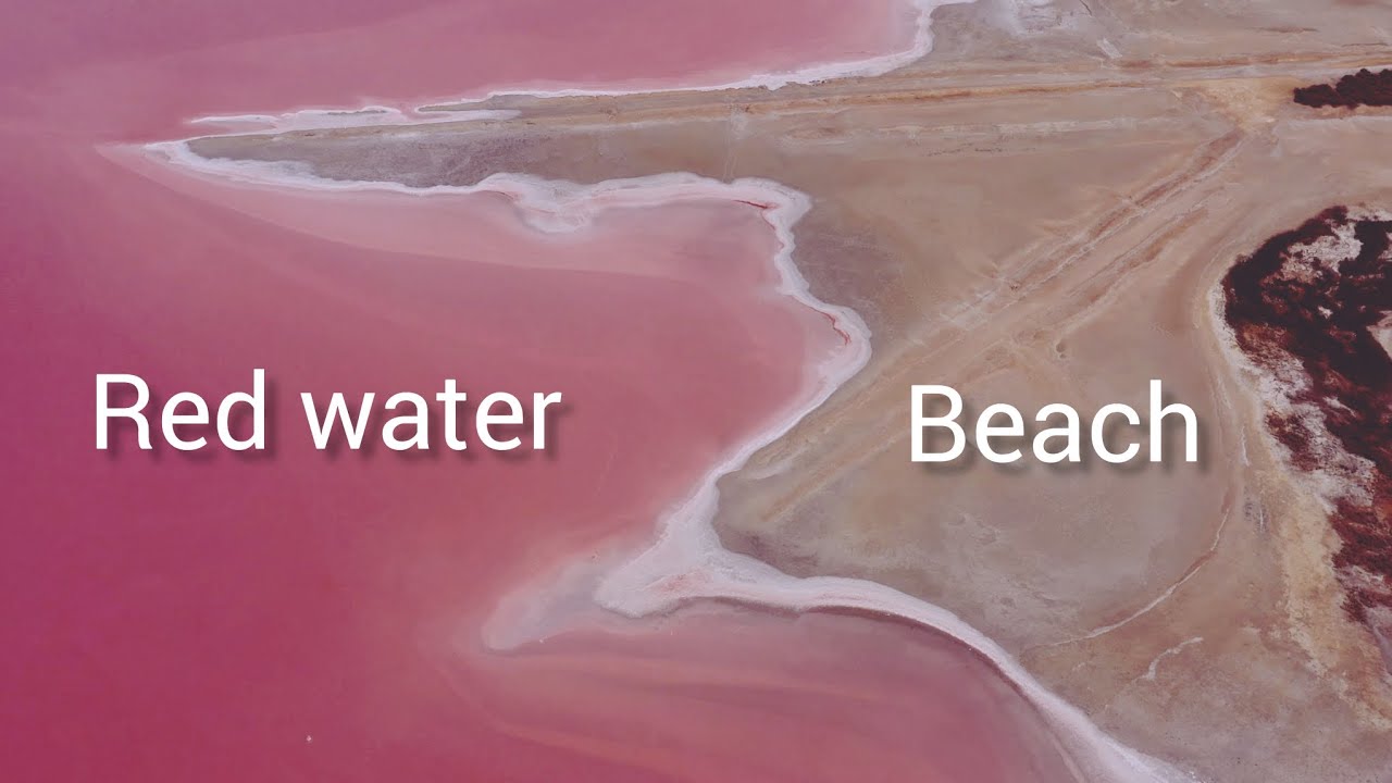 Red water meets Beach | Nature | Unbelievable #viral #nature #trending