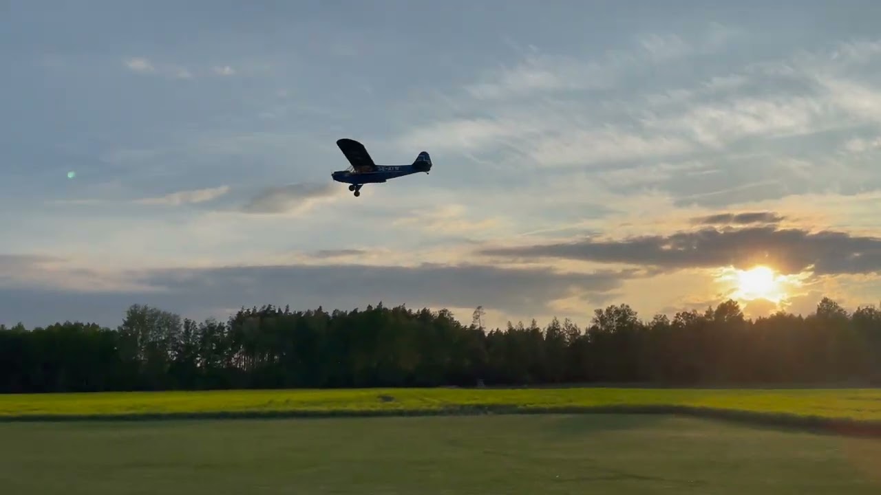 J 3 Cub Scale 1/3  Balsa USA