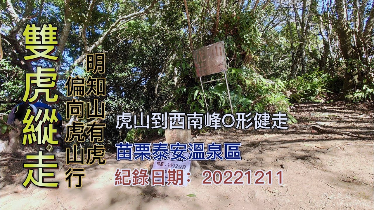 雙虎縱走，明知山有虎偏向虎山行，虎山到虎山西南峰O形健走，苗栗泰安溫泉區-FP181,1