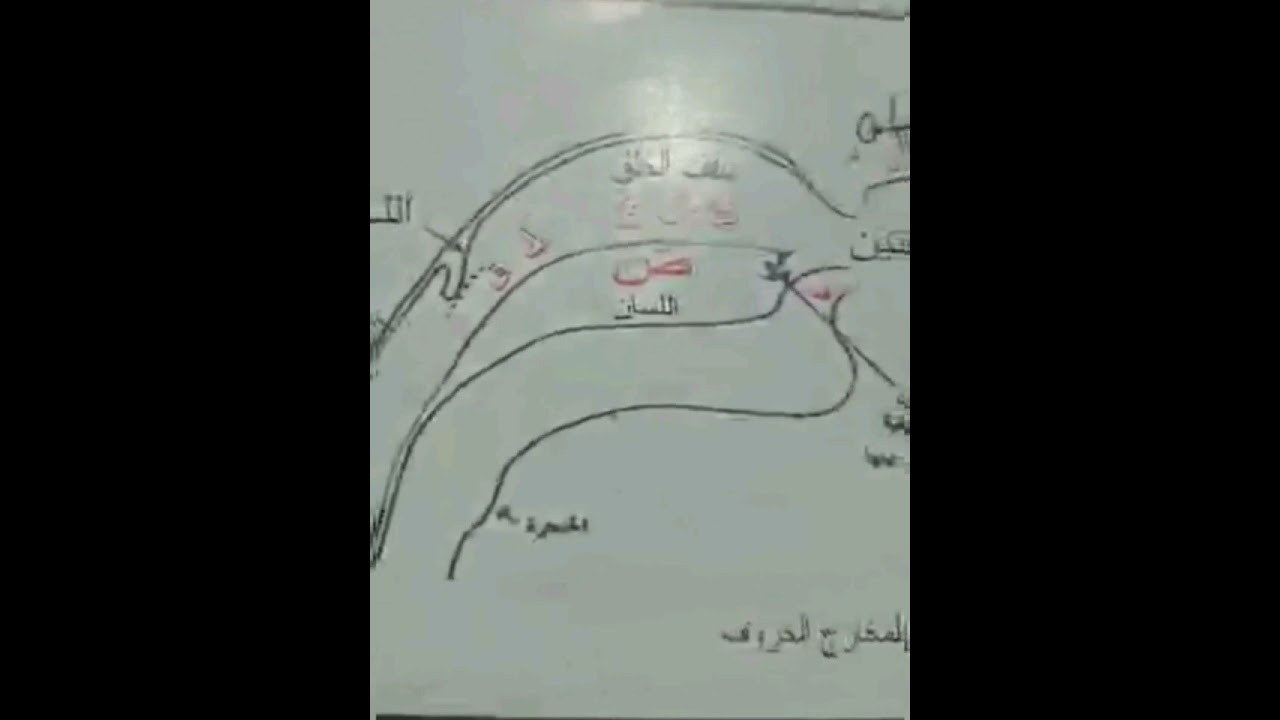 المخارج بشكل مبسط 
