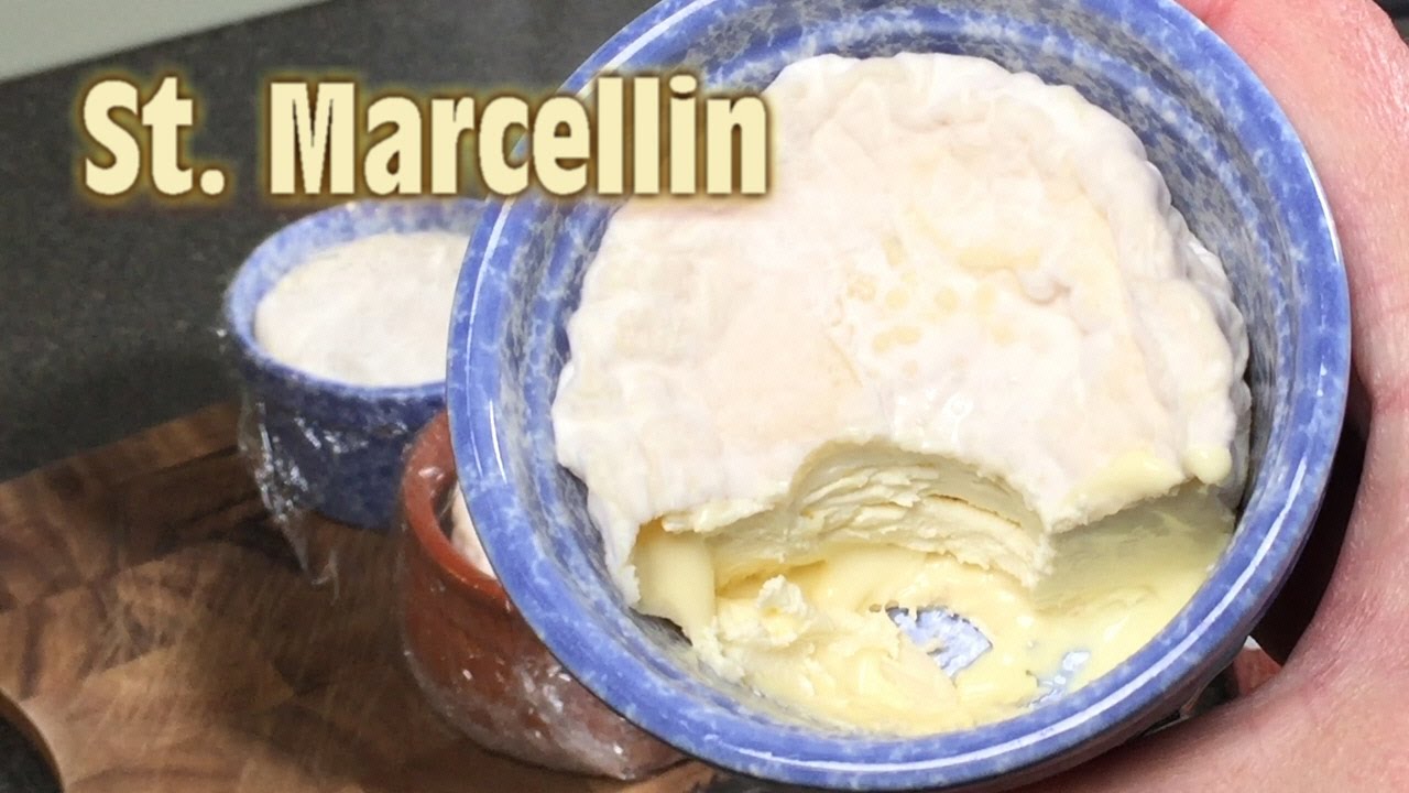 How to make Saint-Marcellin style cheese at Home
