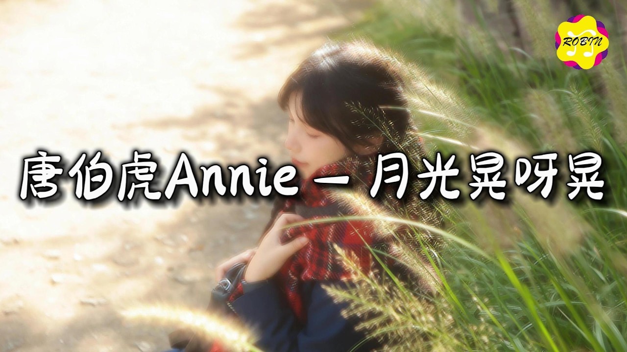 唐伯虎Annie - 月光晃呀晃『微风啊荡呀荡，我多想是你擦干我泪光。』【动态歌词MV】