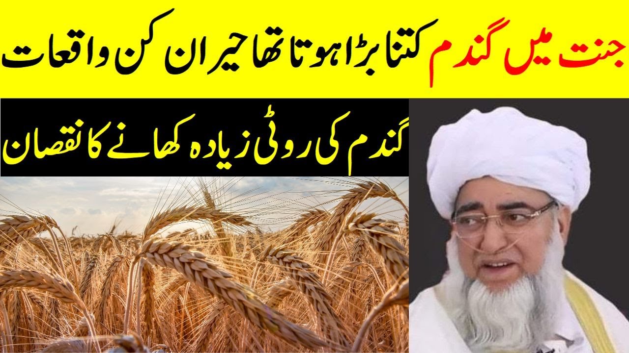 The Secret of Wheat in Heaven | Story of Adam (A.S) | Quranic Explanation | Learn Quran Online