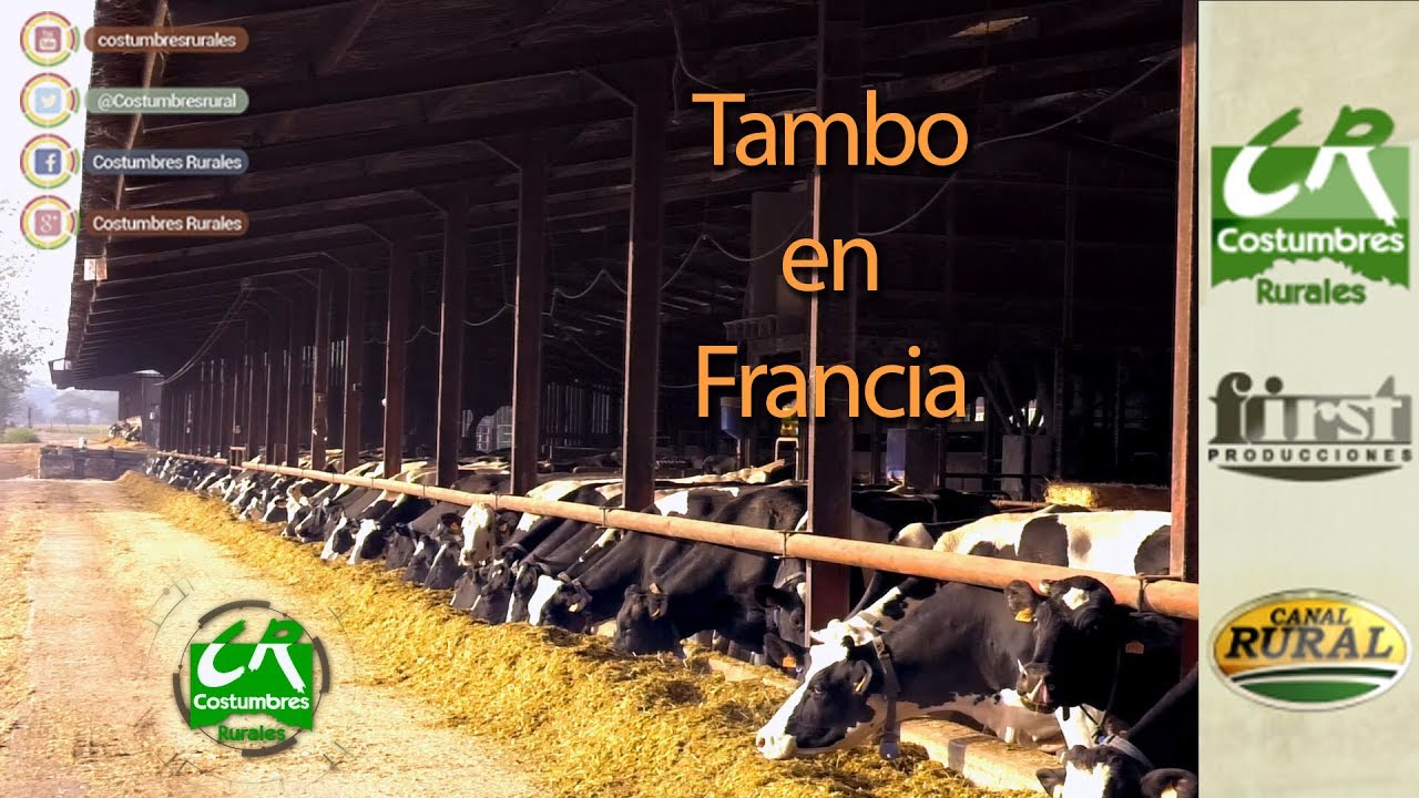 Tambo en Francia - Costumbres Rurales