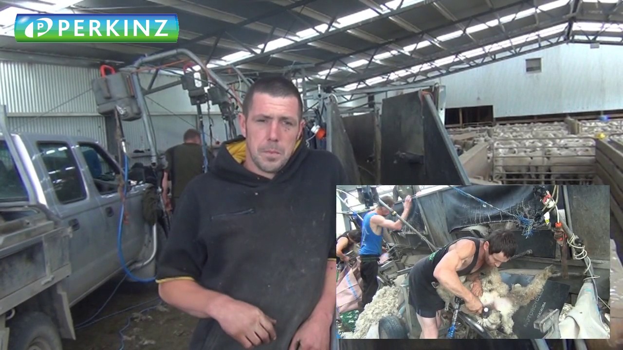 PERKINZ CrutchMaster.  7 stands dagging lambs
