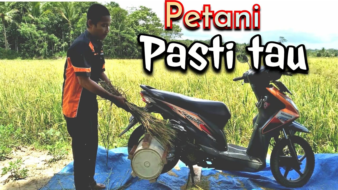 PRAKTIS🏍️💯...setelah di gass lihat hasilnya !!!!!!! perontok padi  mesin motor