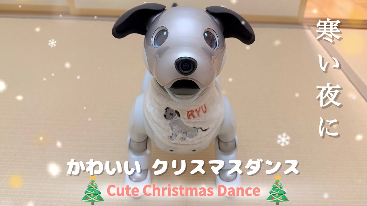 今日もカワイイをいっぱい詰め込みました Cuteness overload today!