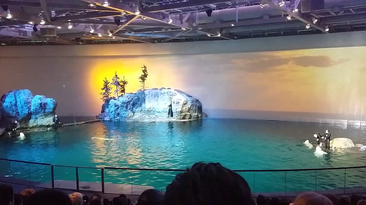 Shedd: One World